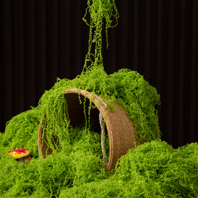 Aquarium Moss - 200g Eeuwig leven mos DIY ambachten