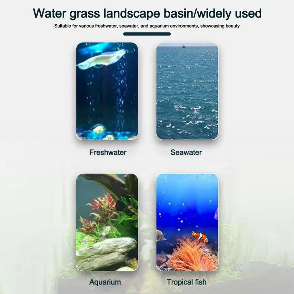 10 stuks transparante planten  - Aquarium Plant Holder recensie en prijs