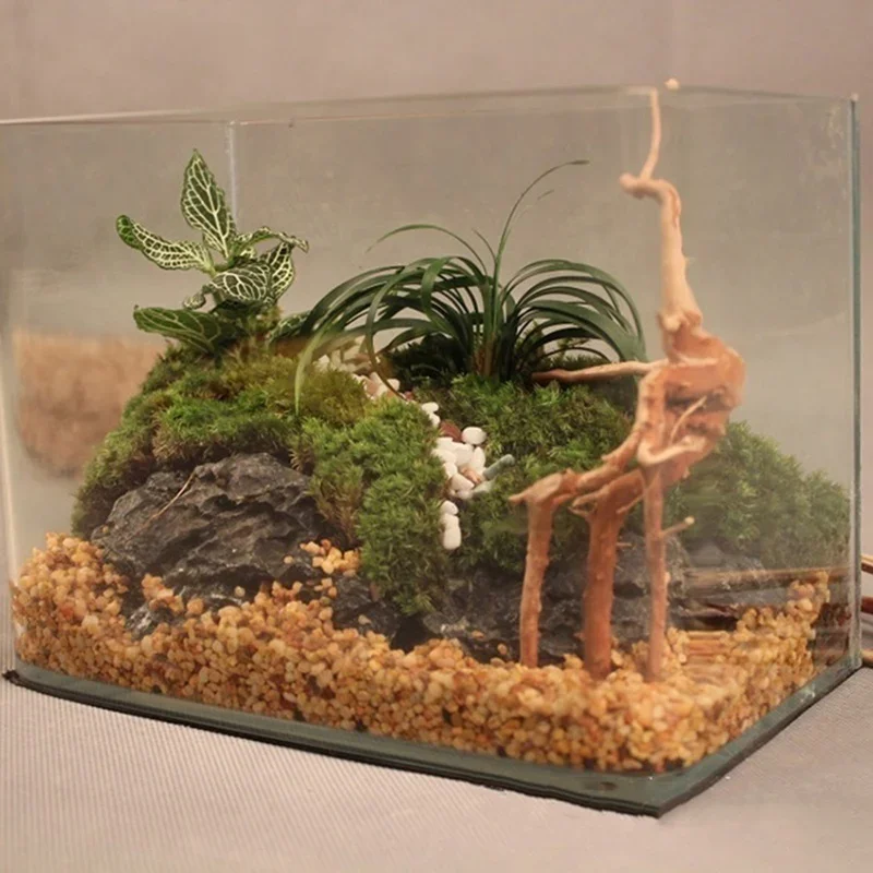 Natuurlijke Boomstam Drijfhout - Aquarium Plants Live recensie en prijs