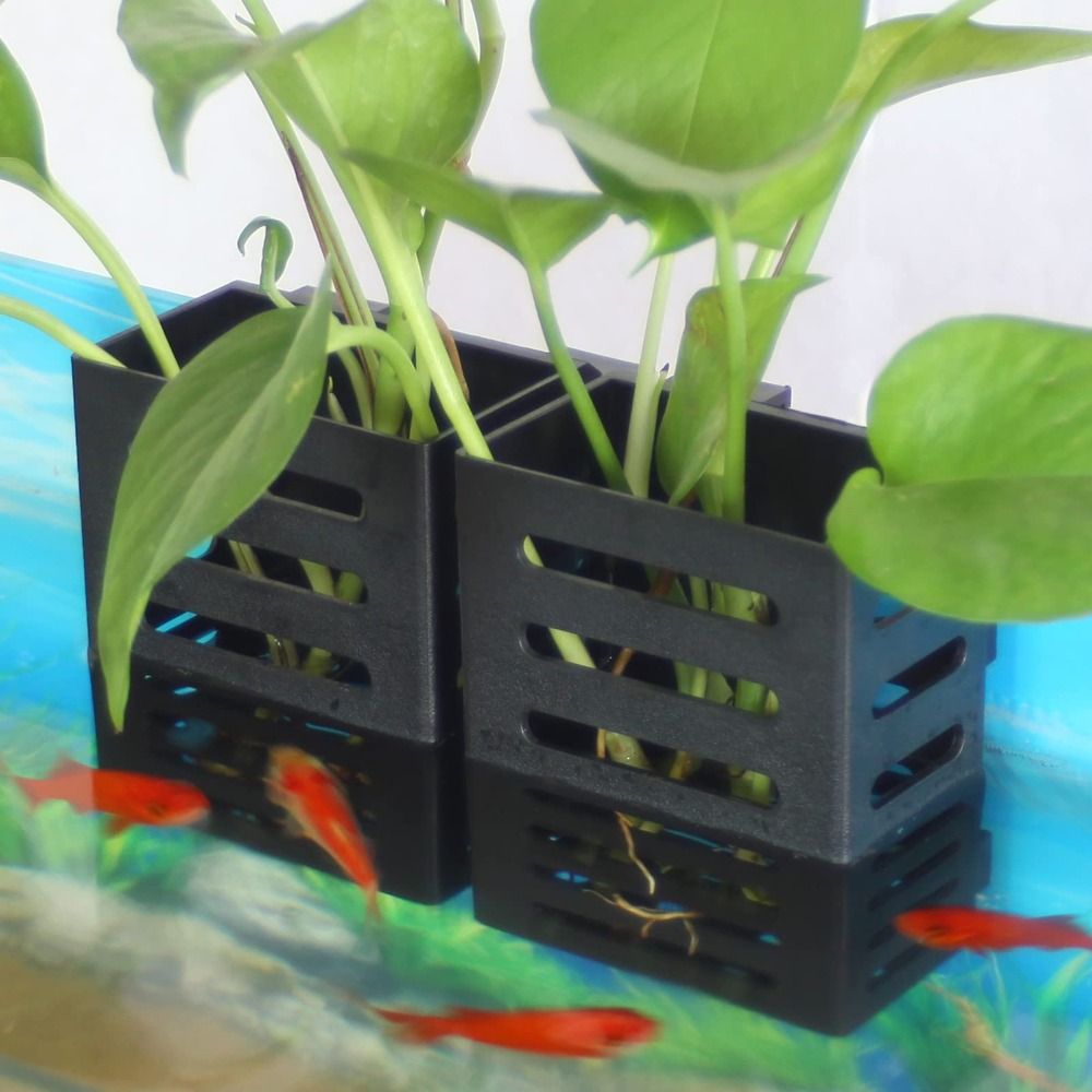 Aquarium Fish Tank Plantenhoud - Aquarium Plant Holder recensie en prijs