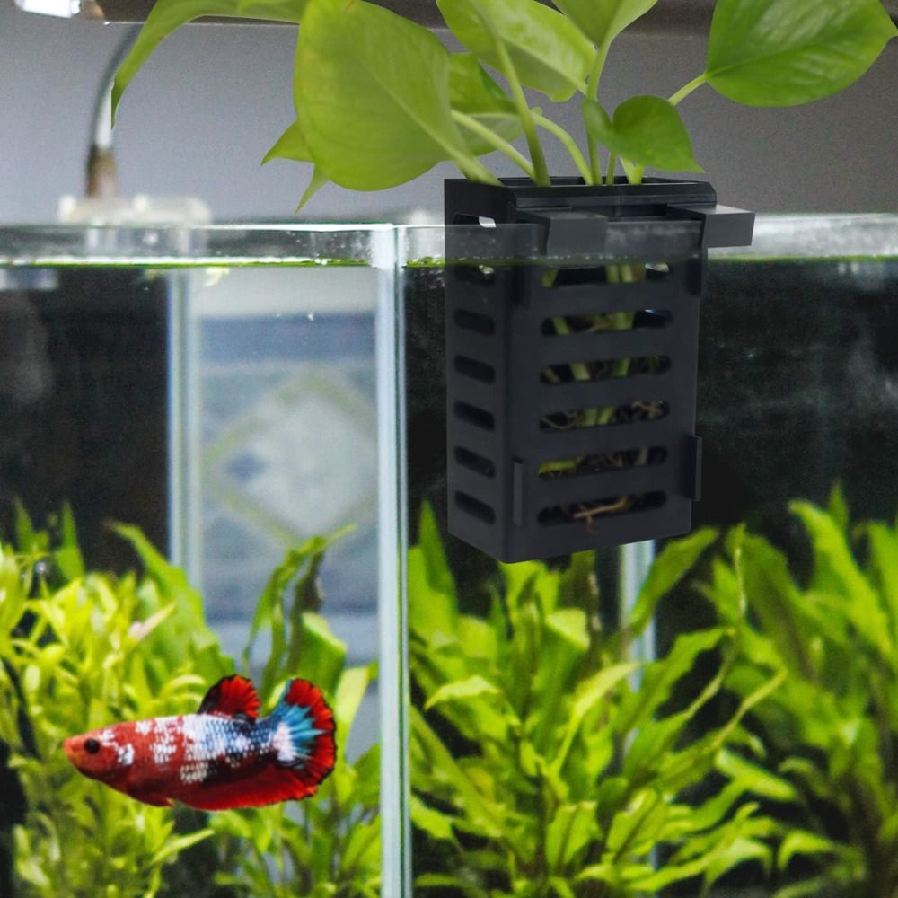 Aquarium Fish Tank Plantenhoud - Aquarium Plant Holder recensie en prijs