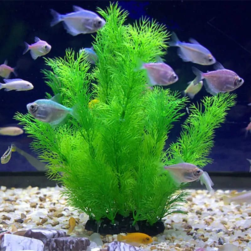 Kunstmatige Aquarium Decor Pla - Aquarium Plants Live recensie en prijs