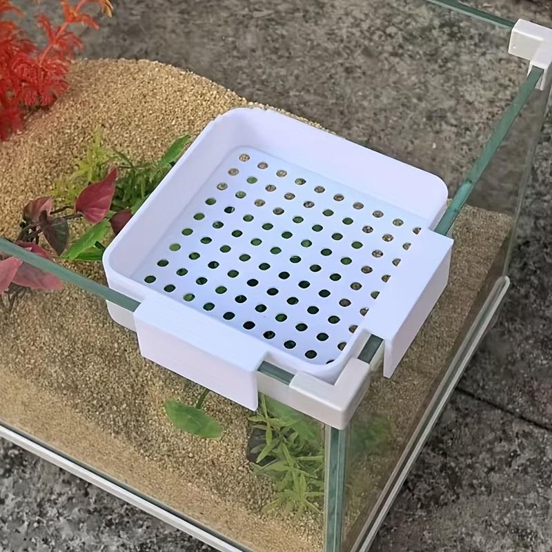 Nieuwe aquarium waterverversin - Aquarium Plant Holder recensie en prijs