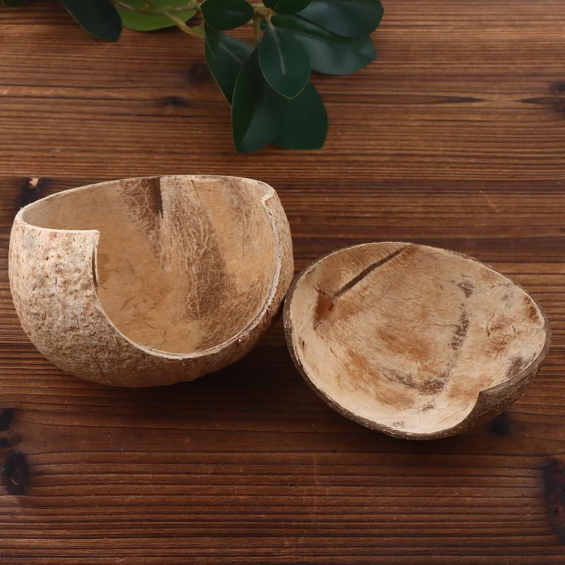 Kokosnootdecoratie voor aquari - Aquarium Driftwood recensie en prijs