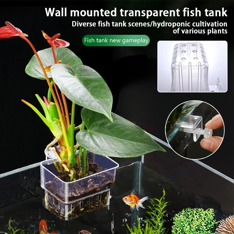 Aquarium hangende plantenbakje - Aquarium Plants Live recensie en prijs