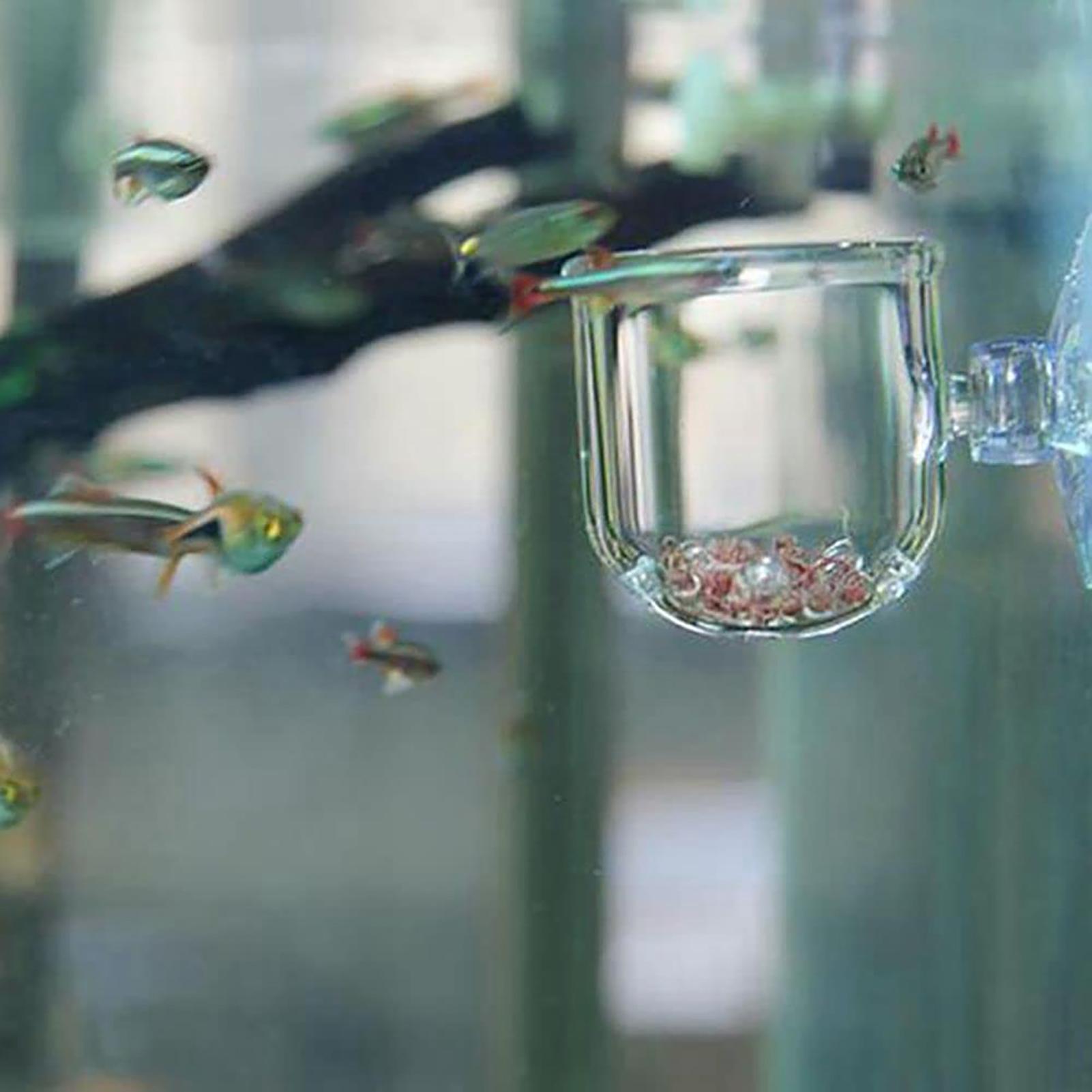 Aquarium Decoratie Plantenpot  - Plant Aquarium Pot recensie en prijs