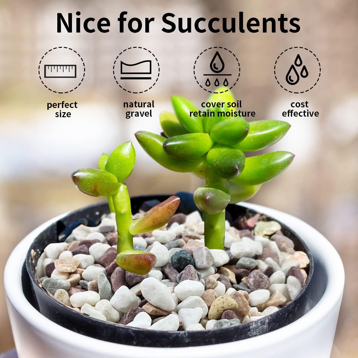 Gemengde kleuren grindstenen,  - Plant Aquarium Pot recensie en prijs