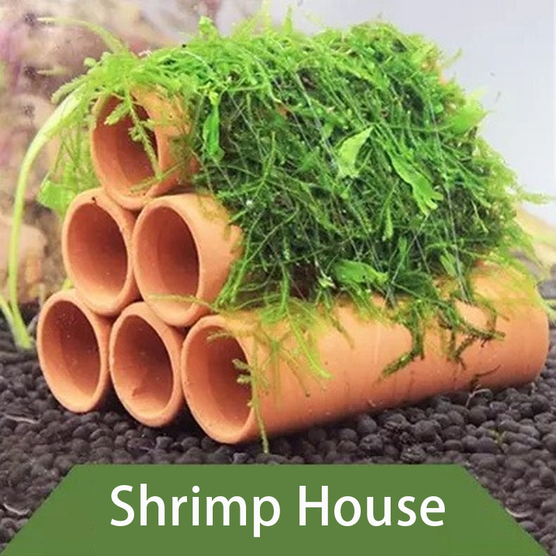 Klei Aquarium Decoratie Vis Ga - Aquarium Plant Holder recensie en prijs