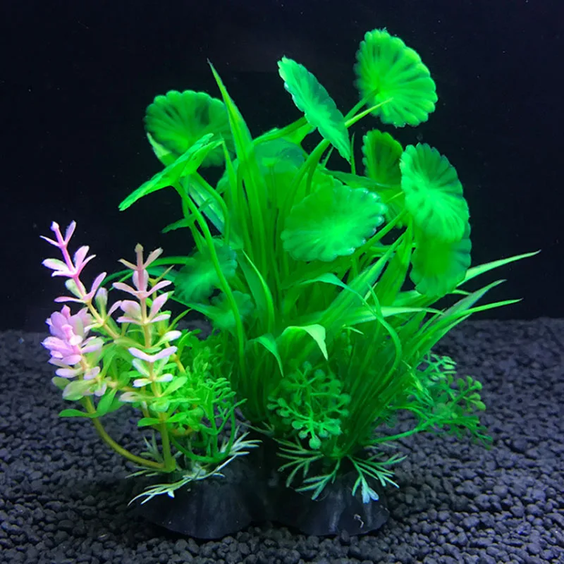 Aquarium Kunstmatige Decor Pla - Live Plant Aquarium recensie en prijs