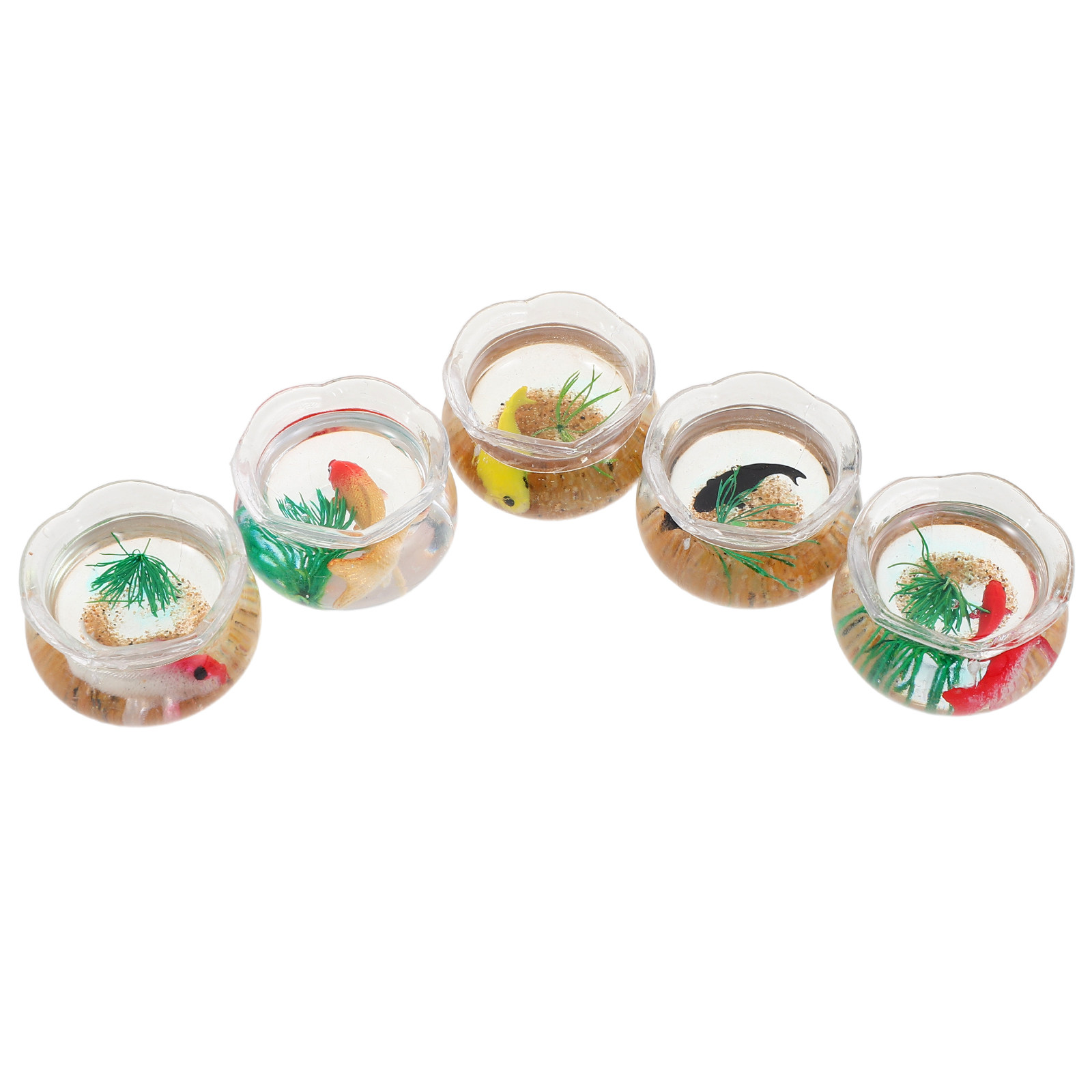 5-delige set met kleine koi-ak - Planted Tank recensie en prijs